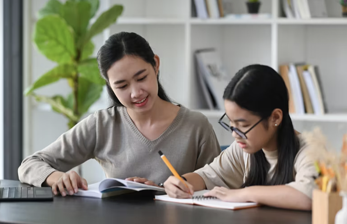 French Language Basics – Introductory Course